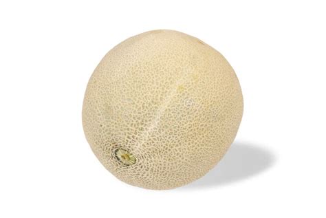 Melon Isolated on White stock image. Image of vegetarian - 156272279