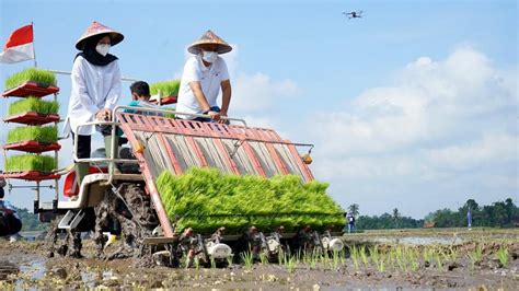 Bps Ungkap Sektor Pertanian Serap Lapangan Kerja Tertinggi Di Tahun