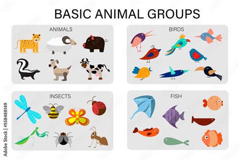 groups  animals quiz printable