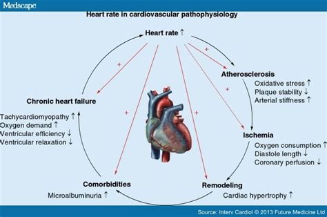 Ivabradine The Start Of A Shift In Heart Failure Treatment Page 3