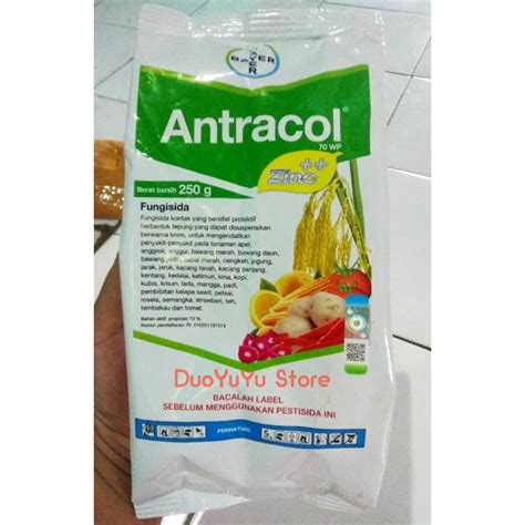 Jual Antracol Fungisida Wp Zinc Gr Obat Jamur Tanaman