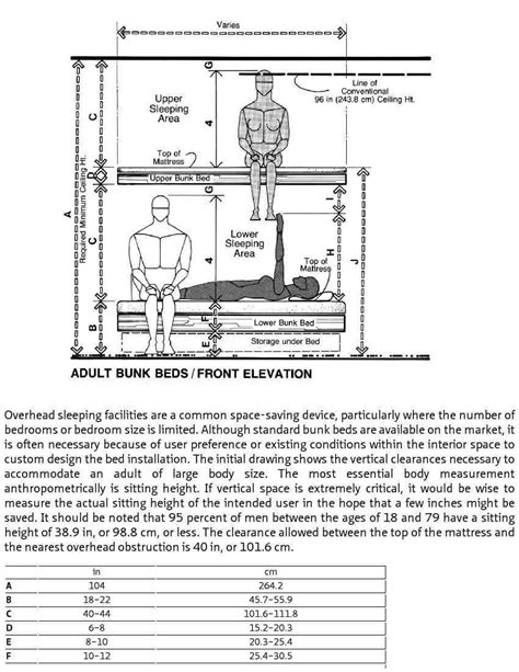 Adult Bunk Beds Human Dimension Tv Walls Detailed Drawings Front