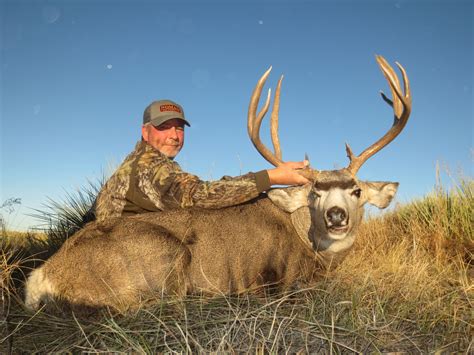 Fully Guided Trophy Mule Deer Hunts in Colorado | J&D Outfitters