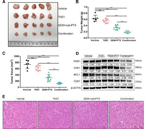 Combined Cdk7 Inhibition With Standard Chemotherapy Suppresses Pdac