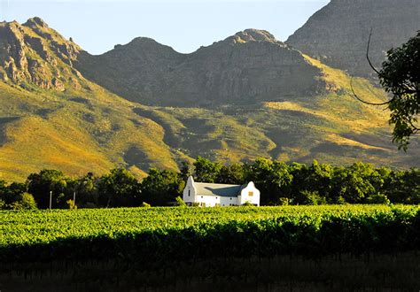 Stellenbosch Wine Farms You Have To Check Out - No Hurry To Get Home