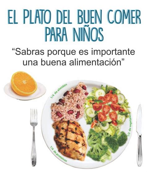 Plato Del Buen Comer Para Niños De Primaria Y Preescolar