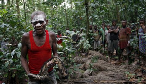 Pygmies Join Bushmeat Trade Threatening Own Culture