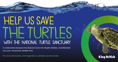 Save The Turtles With King British And The National Turtle Sanctuary