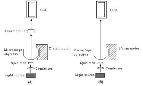 Schematic Diagram Of The Experimental Setup A With The Tunable Filter