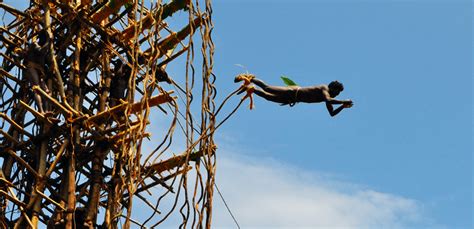 Land Diving in Vanuatu