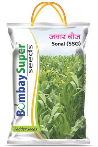 Buy Jowar Seeds Online | Jowar Seeds Exporters in India