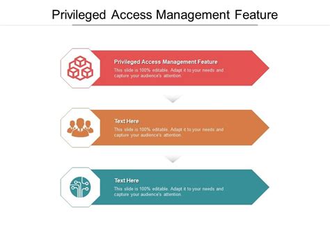 Privileged Access Management Feature Ppt Powerpoint Presentation