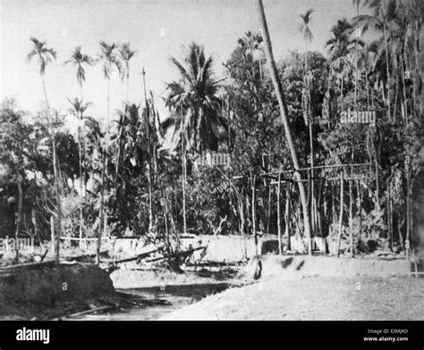 Noakhali 1946 Stock Photos & Noakhali 1946 Stock Images - Alamy