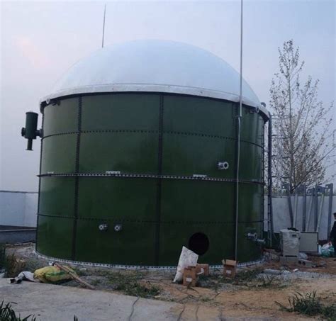 China Cstr Reactor Biogas Anaerobic Digester Fermenter Producer Power