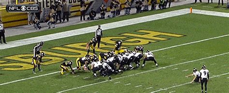 Troy Polamalu made a spectacular play … that was illegal | For The Win