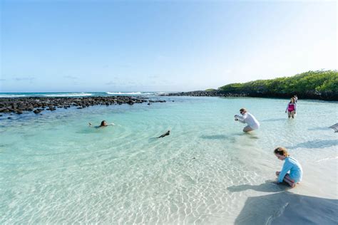 15 Free Things To Do in Santa Cruz, Galapagos: Without a Guide