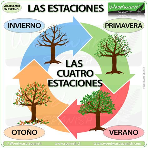 Seasons In Spanish Las Estaciones Del A O En Espa Ol Woodward