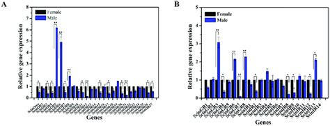 Expression Of Semiothisa Cinerearia Ors A Grs And Irs B By