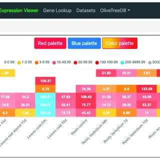 Heatmap Visualization Of The Expression Viewer In Oliveatlas