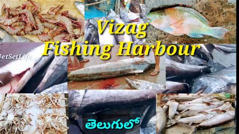 Vizag Fishing Harbour Telugu Vizag Fish Market Fishing Boats In