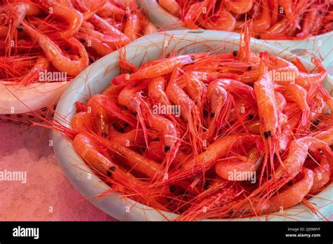 A Pile Of Shrimps For Sale At A Fish Counter Fresh Prawn Sale In A