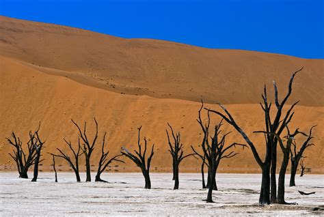 Namibia Dead Vlei Namib Naukluft Park A Photo On Flickriver