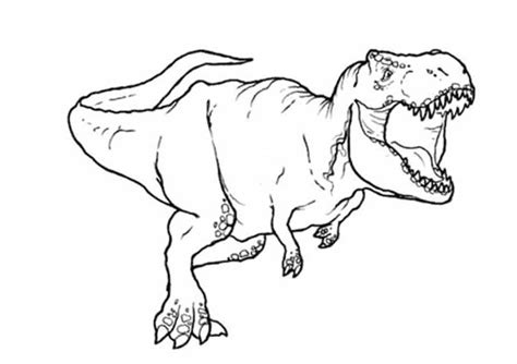 Coloriage Dinosaure Gratuit Images Imprimer En Clic