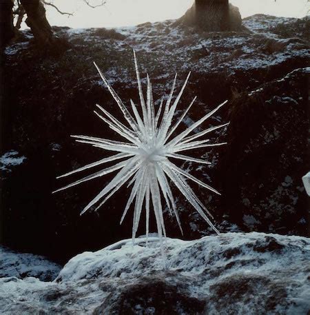 Andy Goldsworthy Art Sculptures