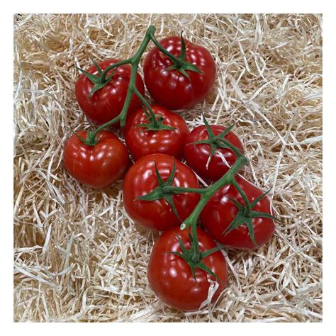 Tomate Ronde Ou Grappe 500 G