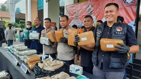 Polisi Sita Puluhan Kilogram Ganja Siap Edar Dari Pelaku Jaringan