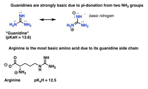 5 Key Basicity Trends Of Amines Master Organic Chemistry