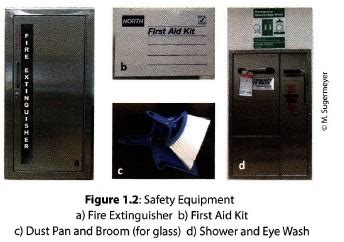 BIO 102 LAB Midterm Flashcards Quizlet