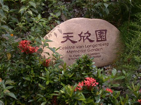 Herbal Garden | Hong Kong Museum of Medical Sciences