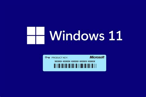 How to Find Windows 11 Product Key – TechCult