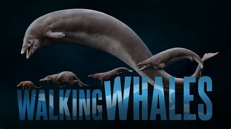 Walking Whales Campaign MyMiniFactory