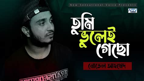 Tumi Vulei Gecho New Bangla Song 2023 তুমি ভুলেই গেছো Novel Ahmed