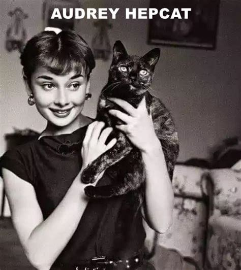 Audrey Hepcat Lolcats Lol Cat Memes Funny Cats Funny Cat