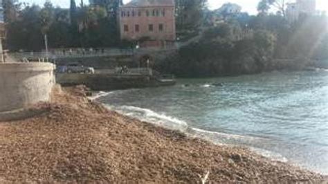 Nervi Il Porticciolo Ancora Invaso Dalle Alghe Il Secolo Xix