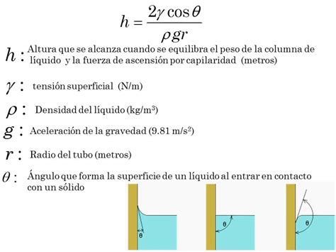 Capilaridad Tensi N Superficial Superficial Fuerza