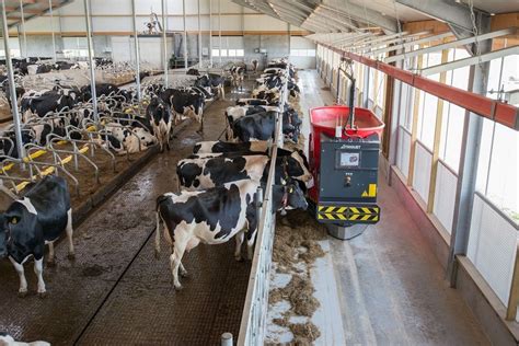 Get More Out Of Forage With The Automatic Feeding System