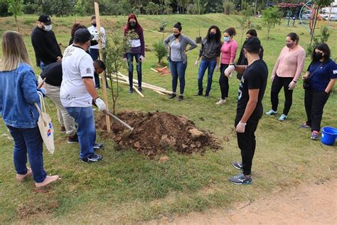 Parque Cecap ganha novas mudas de árvores nativas da Mata Atlântica