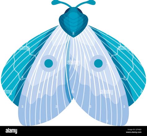 Moth Antennae Stock Vector Images Alamy