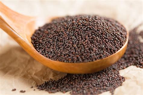 Pure Brown Mustard Seeds Rai Spice Punjabi Mustard Etsy