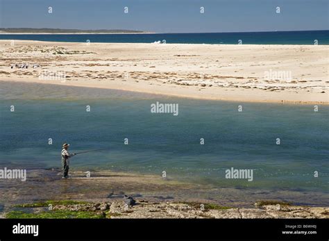 Fisherman And Sand Bar At The Entrance New South Wales Australia New