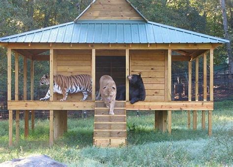 10 Of The Best Animal Sanctuaries To Visit Around The World Boutique