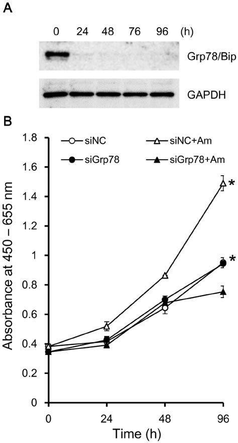 Knockdown Of Grp78bip Abrogated Amelogenin Induced Cell Proliferation