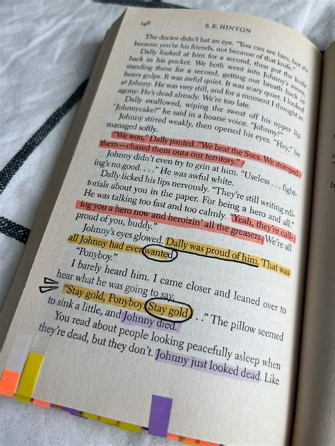 The Outsiders Book Annotations Aesthetic