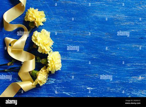 Yellow Carnations Hi Res Stock Photography And Images Alamy