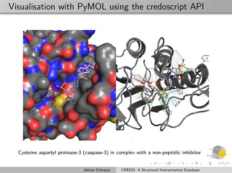 Credo A Structural Interactomics Database For Drug Discovery Speaker