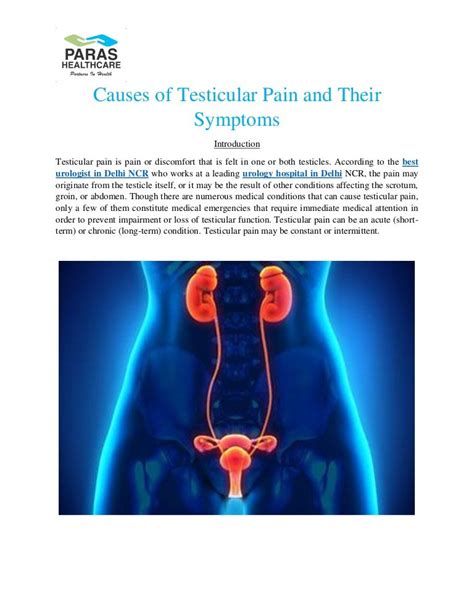 Causes Of Testicular Pain And Their Symptoms